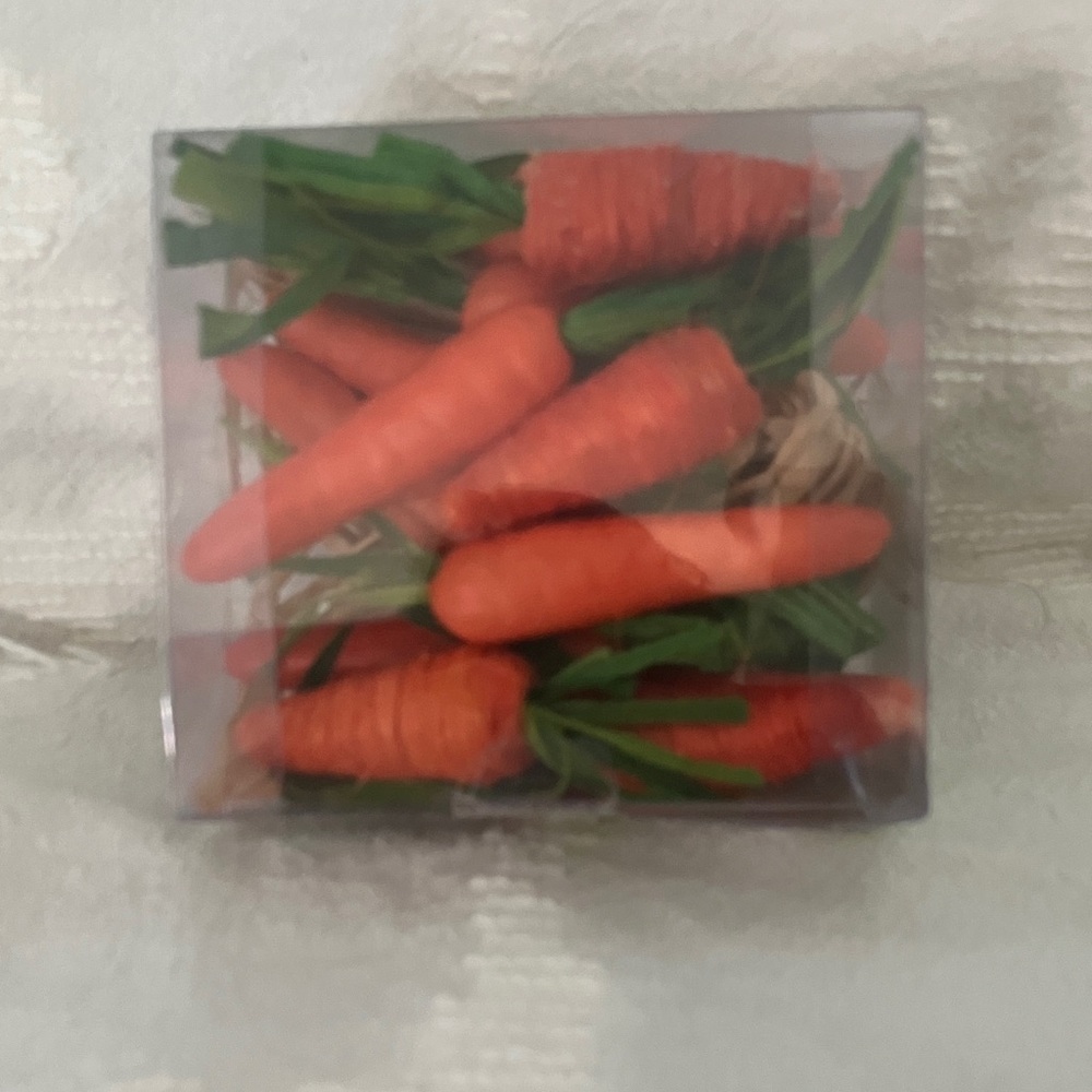 Pier 1 Orange and Green Decorative Carrot Set